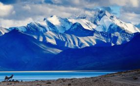 The Perfect Time for a Trip to Leh-Ladakh: A Seasonal Exploration