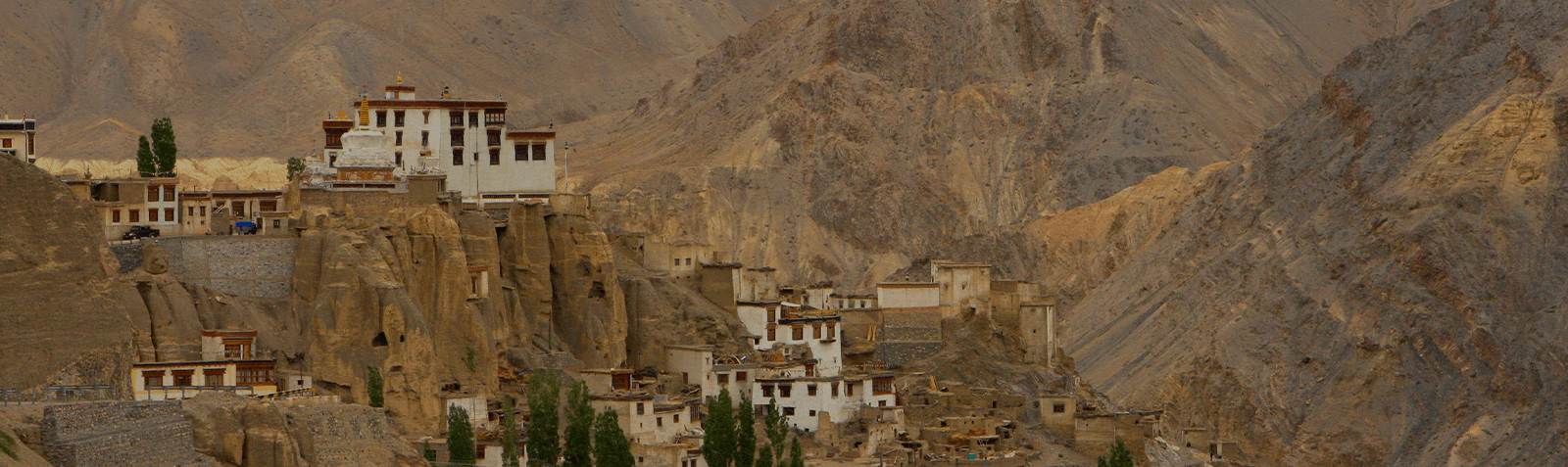 Leh Ladakh Pangong Trip