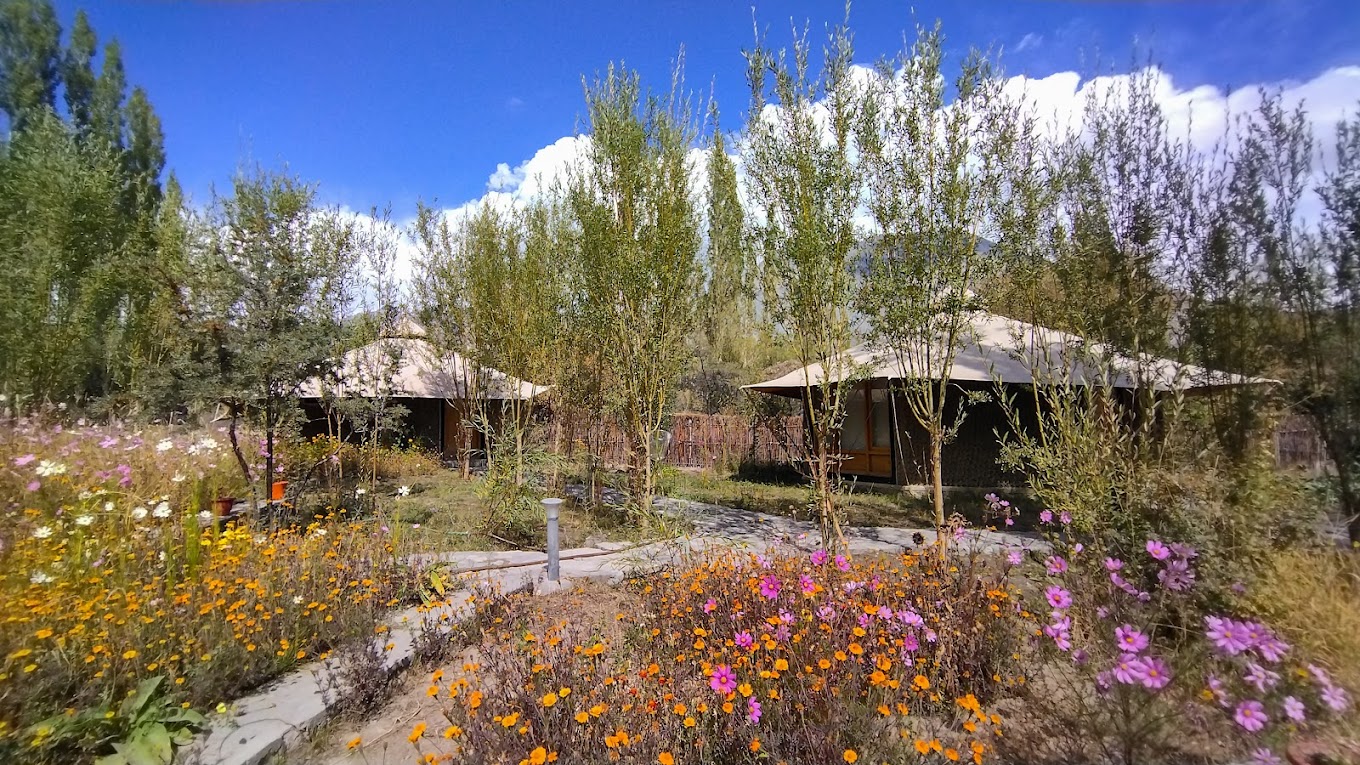 Chalet Seabuckthron Nubra