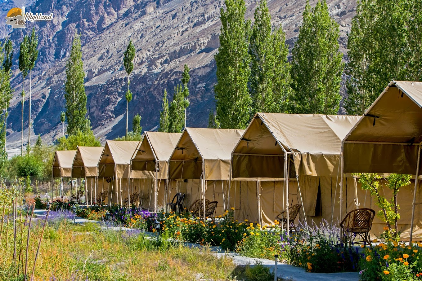 Highland Desert Camp Nubra