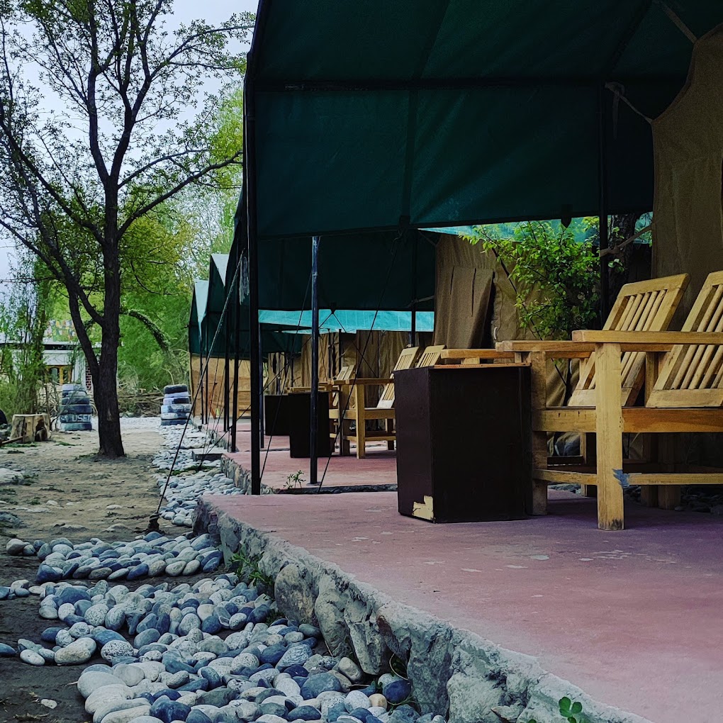 Nubra Pika Camp