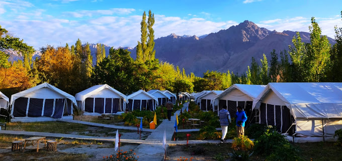 Regal Camp Nubra