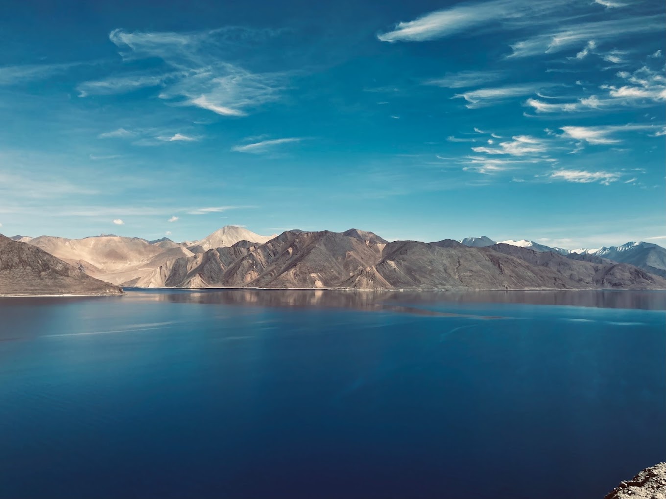 Pangong Willow