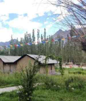 Nubra Valley Resort