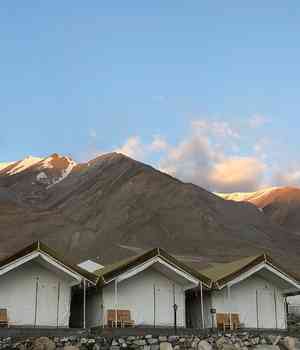 Pangong Nest