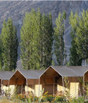 Highland Desert Camp Nubra