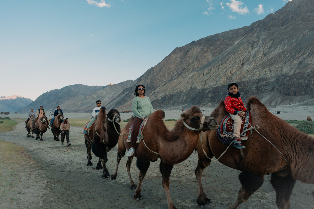 Nubra Valley